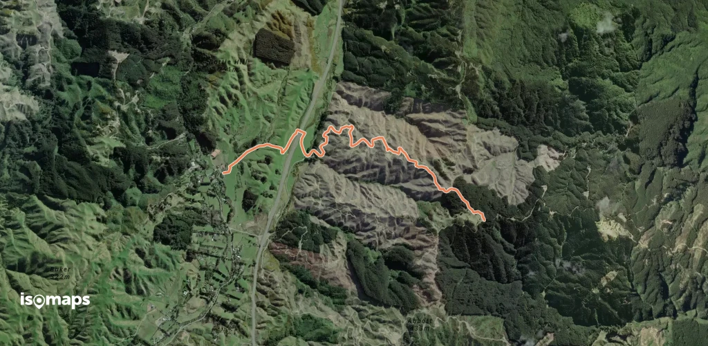 Puketiro Loop - Up