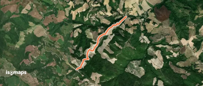 OSM Route 19217286
