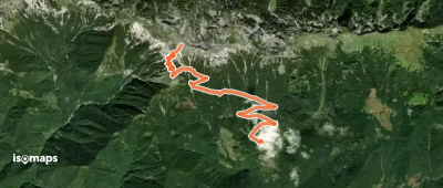 Rut - Rodica