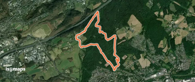 Rundweg A8 Homberger Höhenweg (Hasper Stadtwald)