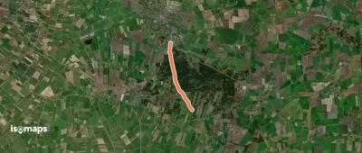Ochsenweg im Langenberger Forst