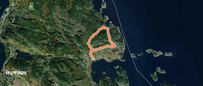 Juniskär blå led
