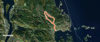 Juniskär grön led