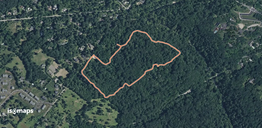 Forest Loop