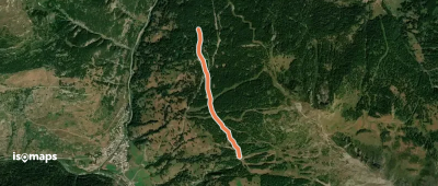 Route Forestière - Le Fusteit