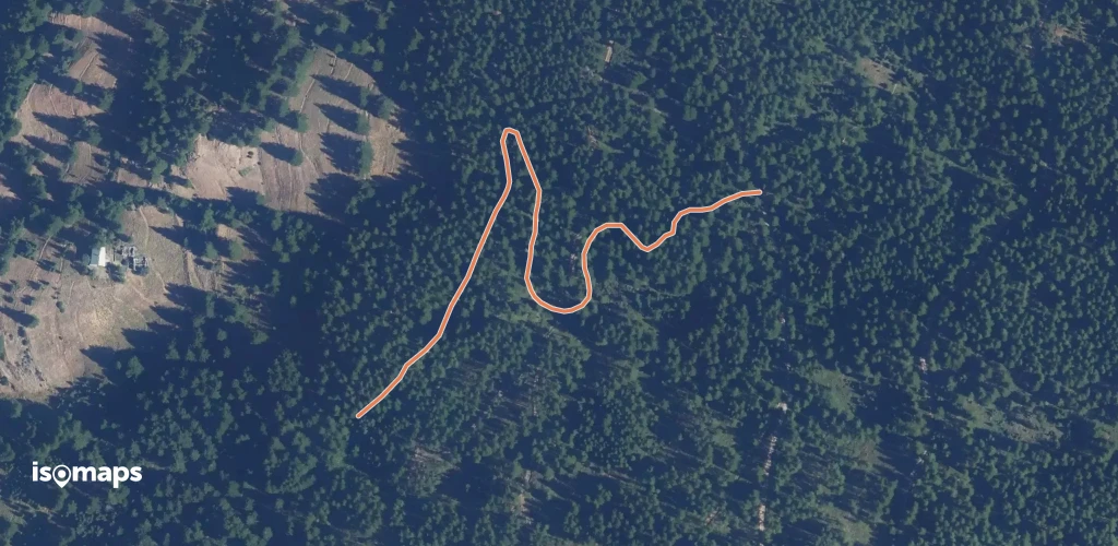 La Gasque - Route Forestière