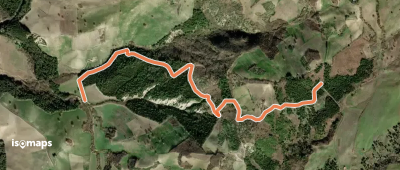OSM Route 19264784