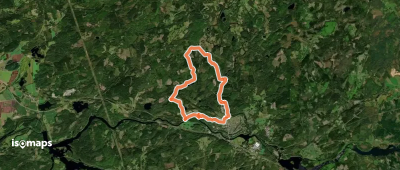 Vitslinga