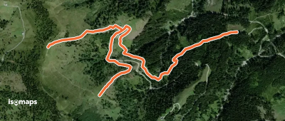 Wanderweg 81