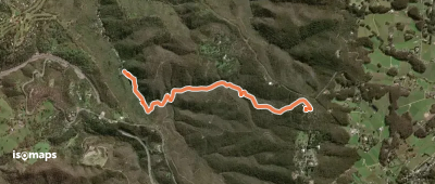 Waterfall Gully Trail