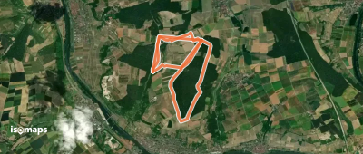 Im Ochsenfurter Forst