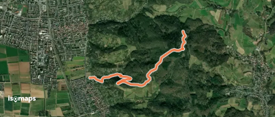 Rundwanderweg Friedhof Sulzbach 4: Dicker-Eichen-Weg