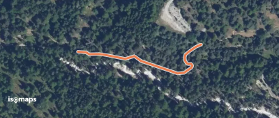 L'Arsenne - Passerelle sur Riou Vert