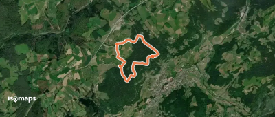 La forêt du Chanot