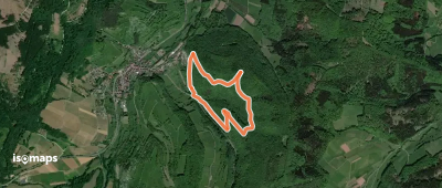 Rundweg Elsbeer-Eiben-Pfad