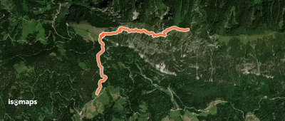 Rogar - Potočka zijalka - Olševa