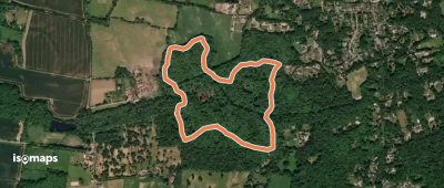 Blakes Wood to Lingwood Common Walk, Danbury