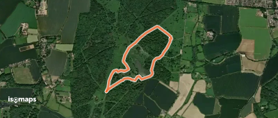 Hatfield Forest Buttercup Walk, Hatfield Forest