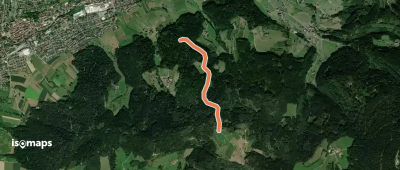 Kohlplatz - Buchenwald