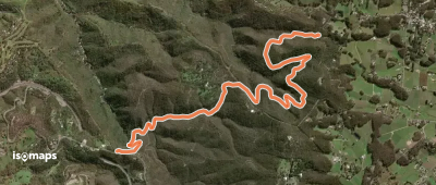 Yurrebilla Trail Section 2