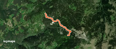 Gorzsteig