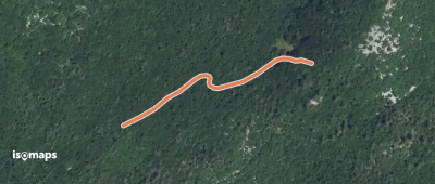 Clairière du Belvédère - ?