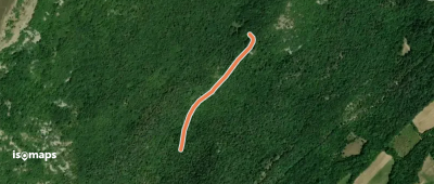 Clairière du Belvédère - ?