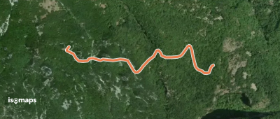 OSM Route 19338246