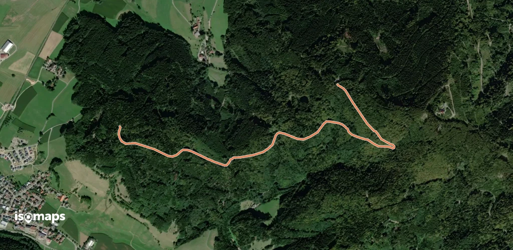 Vorderer Hörnlewald - Am Umsetzer
