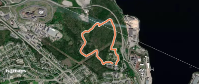 Kunskapens skog