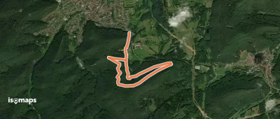 Hauensteiner L