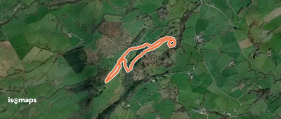 Gregynog medium circular walk