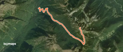 Silverdaisy Trail