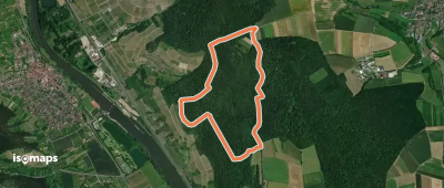 Blauer Schmetterling im Edelmannswald