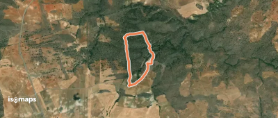 OSM Route 19354479
