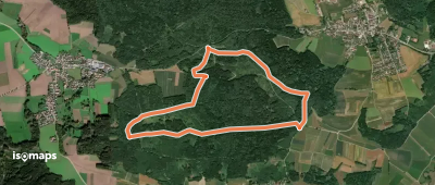 Rundum im Kehlbachwald