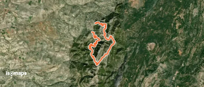 El Gilillo