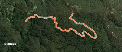 Thylogale Track