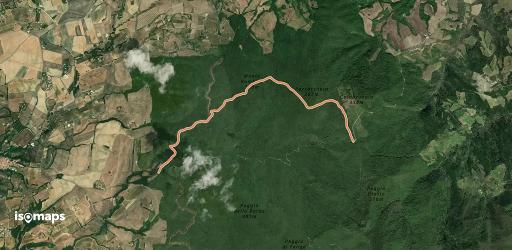 OSM Route 306316