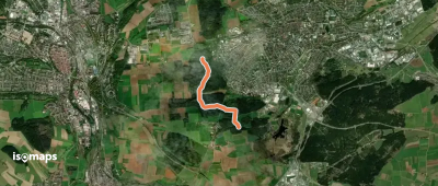 Hölzlekönig - Kugelmoos