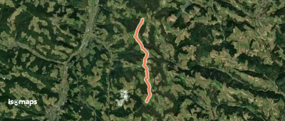 Maria Schnee - Wiesfleck