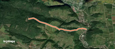Rehberg Waldhofweg