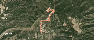 Xorret de catí - Despenyador