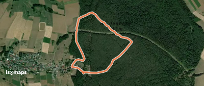 Rundwanderweg Bad König Saubusch 7: Heidenberg-Weg