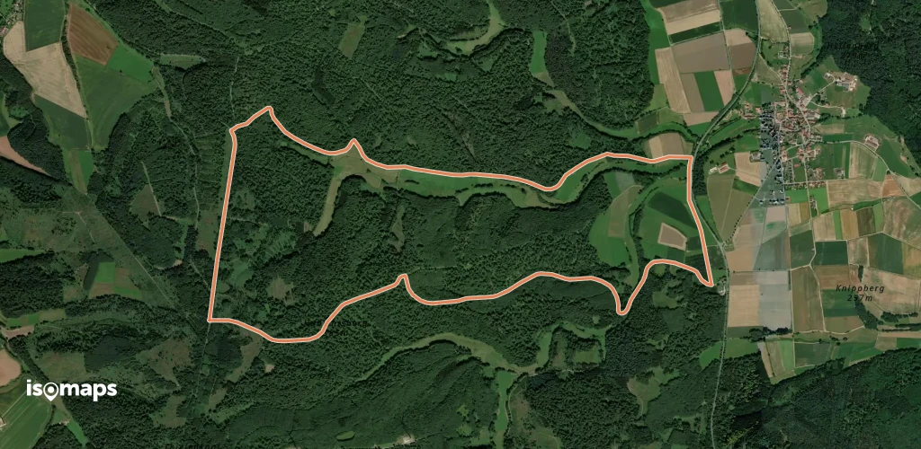 Bad Arolsen Wanderweg S1