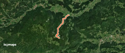 Volog - Goli vrh
