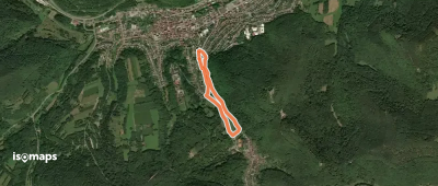 Annweiler Nordic Walking 1