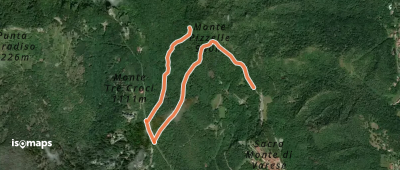 OSM Route 2115552