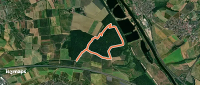 Bürgerwaldweg Gochsheim