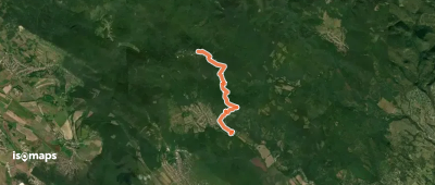K+ (Szurdoki autóparkoló – Kopasz-hegyi-nyereg – Dobogókő, elágazás)